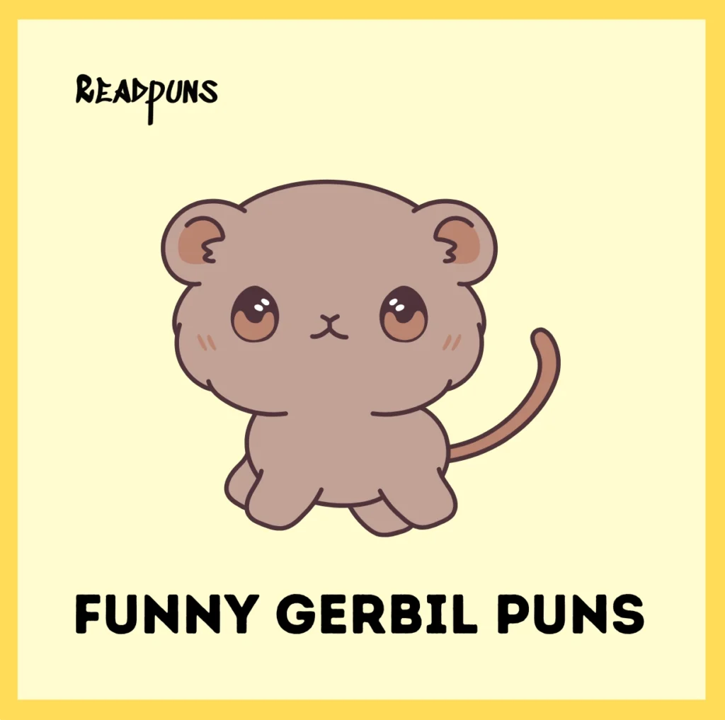 Funny Gerbil Puns