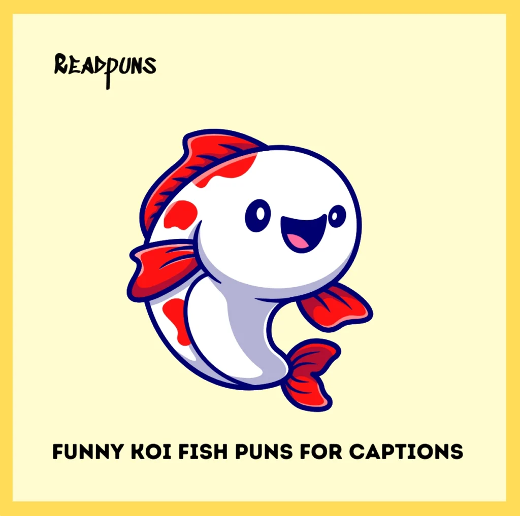 Funny Koi Fish Puns for Captions 