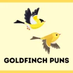 Goldfinch Puns