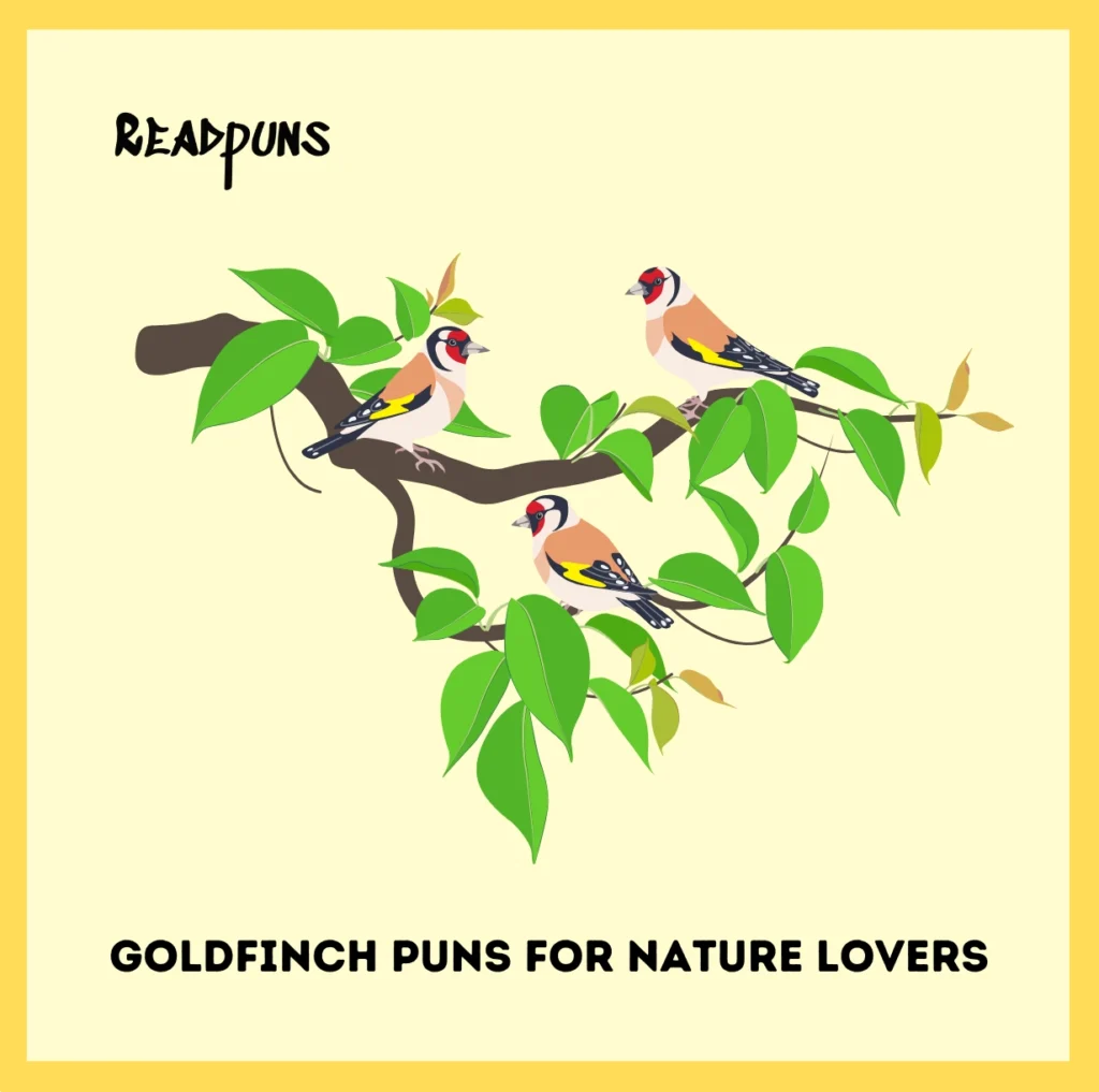 Goldfinch Puns for Nature Lovers