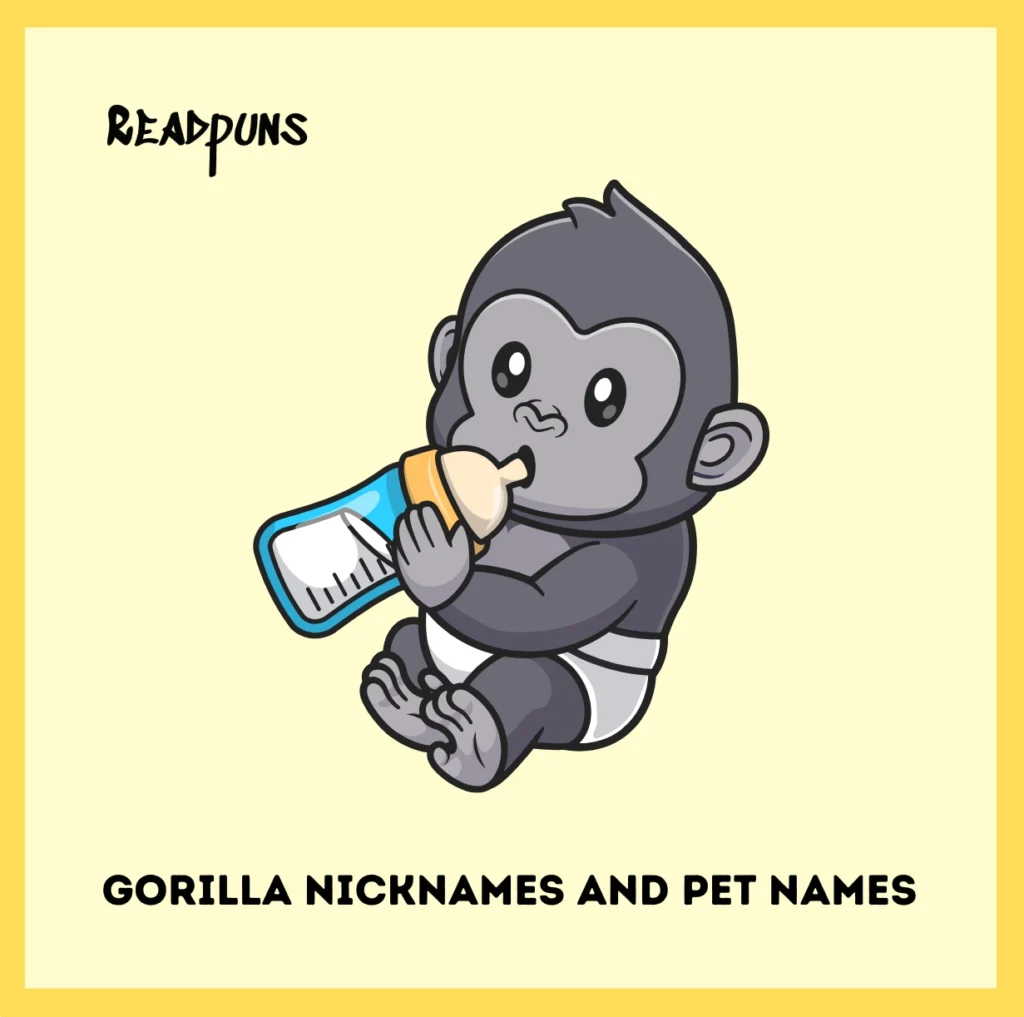 Gorilla Nicknames and Pet Names