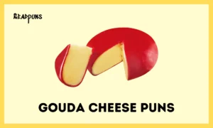 Gouda Cheese Puns