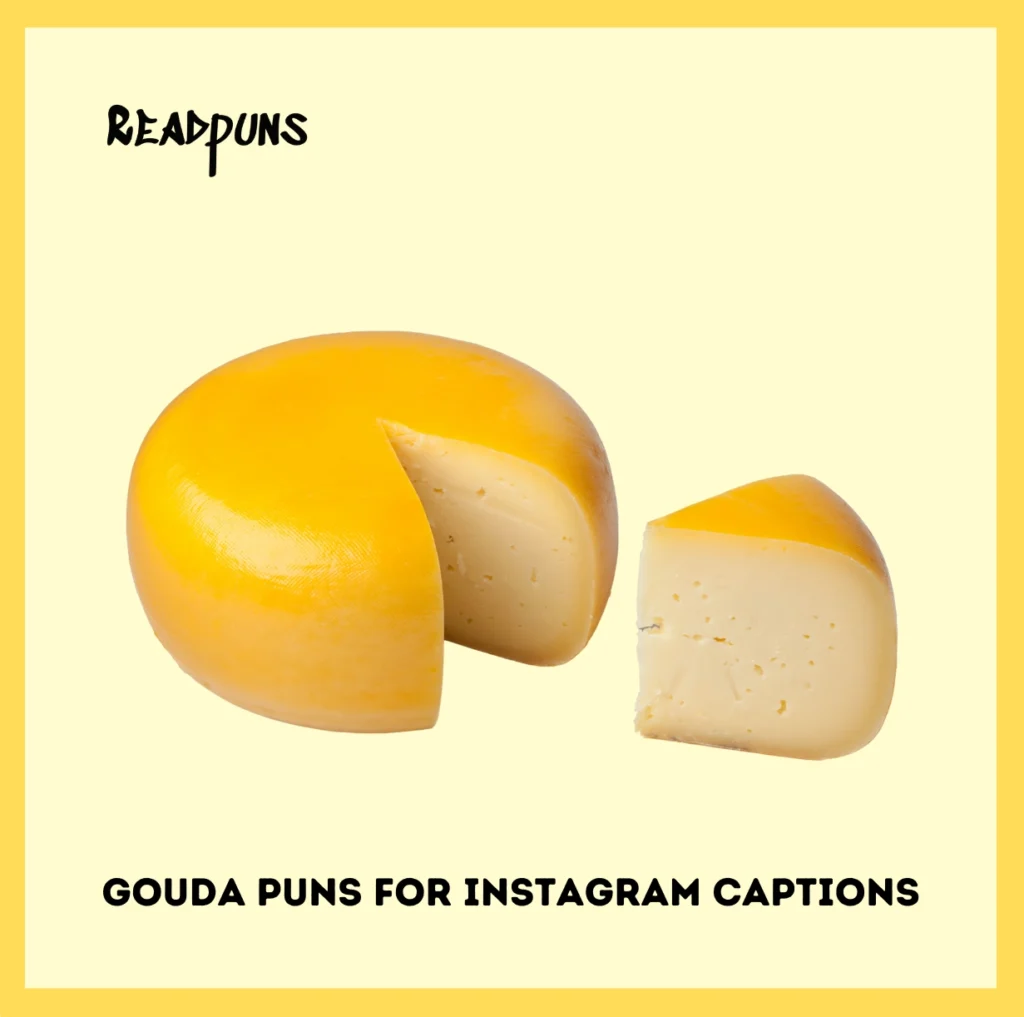 Gouda Puns for Instagram Captions
