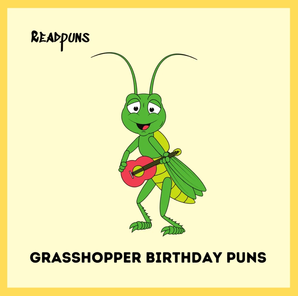 Grasshopper Birthday Puns