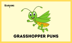 Grasshopper Puns