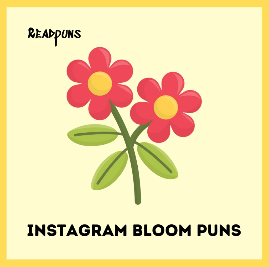 Instagram Bloom Puns
