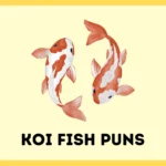 Koi Fish Puns