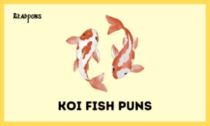 Koi Fish Puns