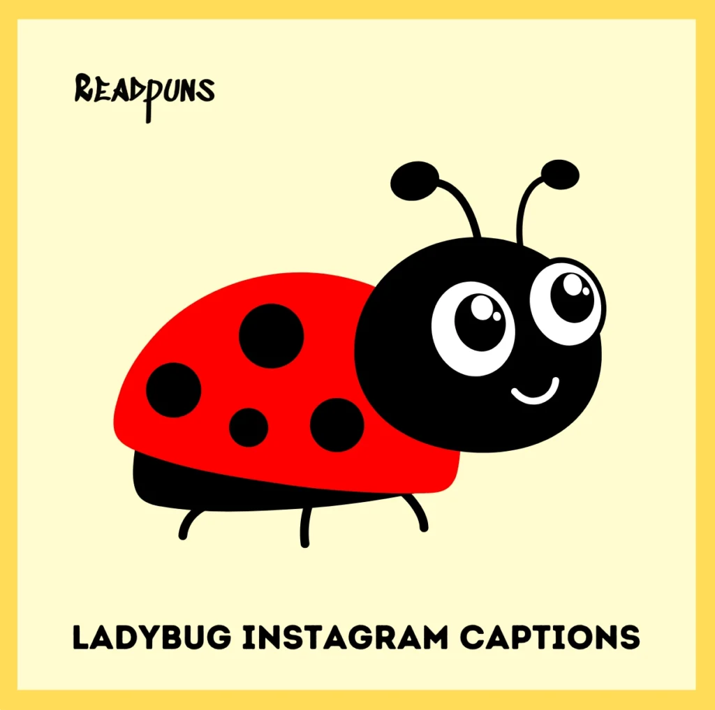 Ladybug Instagram Captions