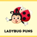 Ladybug Puns