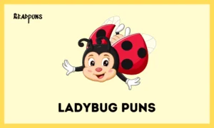 Ladybug Puns