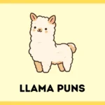 Llama Puns