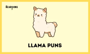 Llama Puns