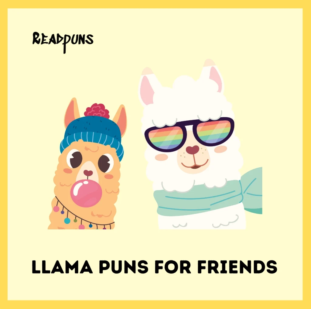 Llama Puns for Friends