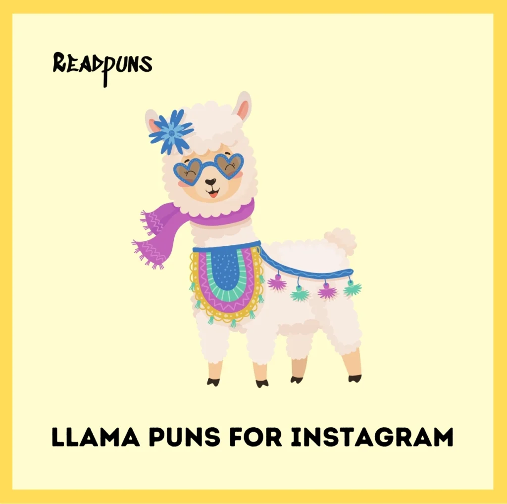 Llama Puns for Instagram