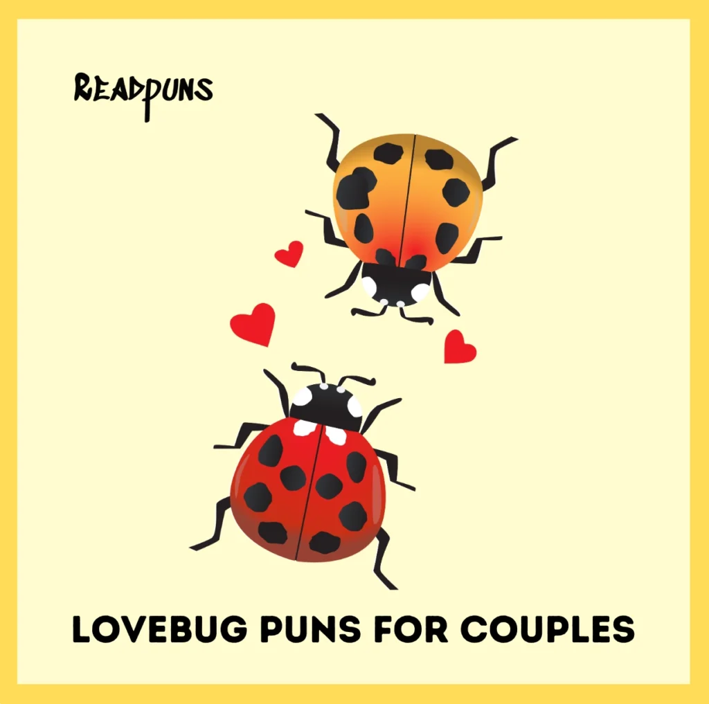 Lovebug Puns for Couples