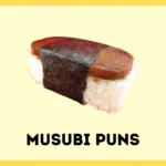 Musubi Puns