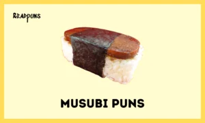Musubi Puns