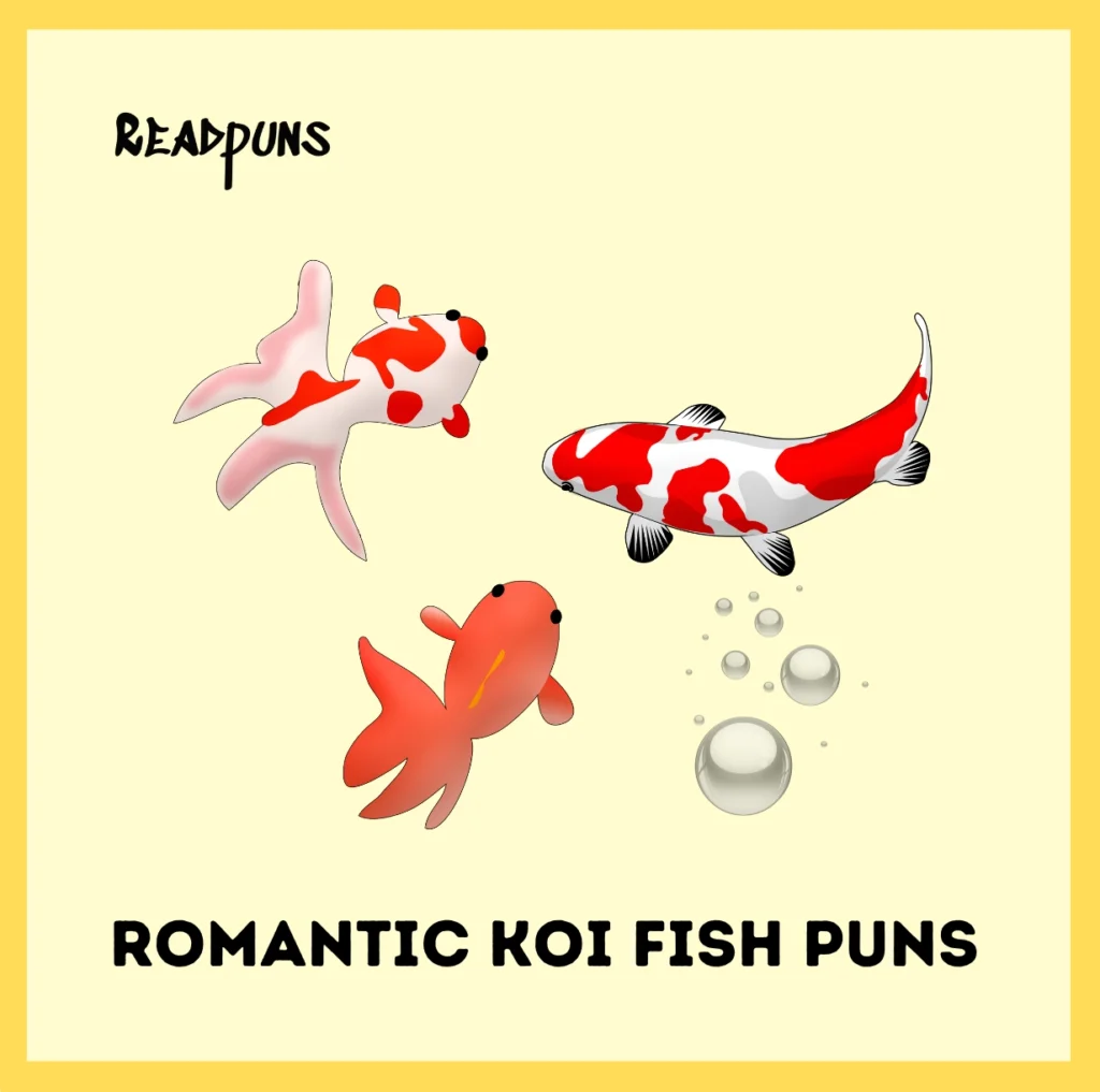 Romantic Koi Fish Puns
