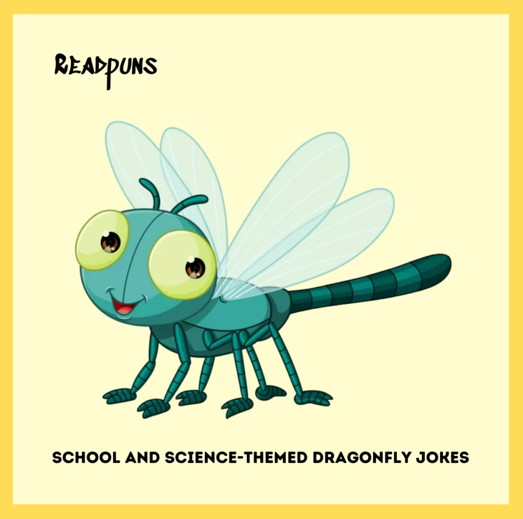 School and Science-Themed Dragonfly Jokes