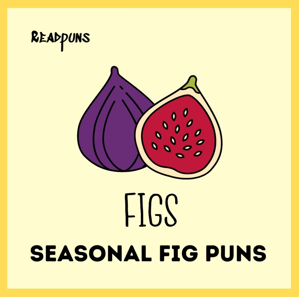 Seasonal Fig Puns