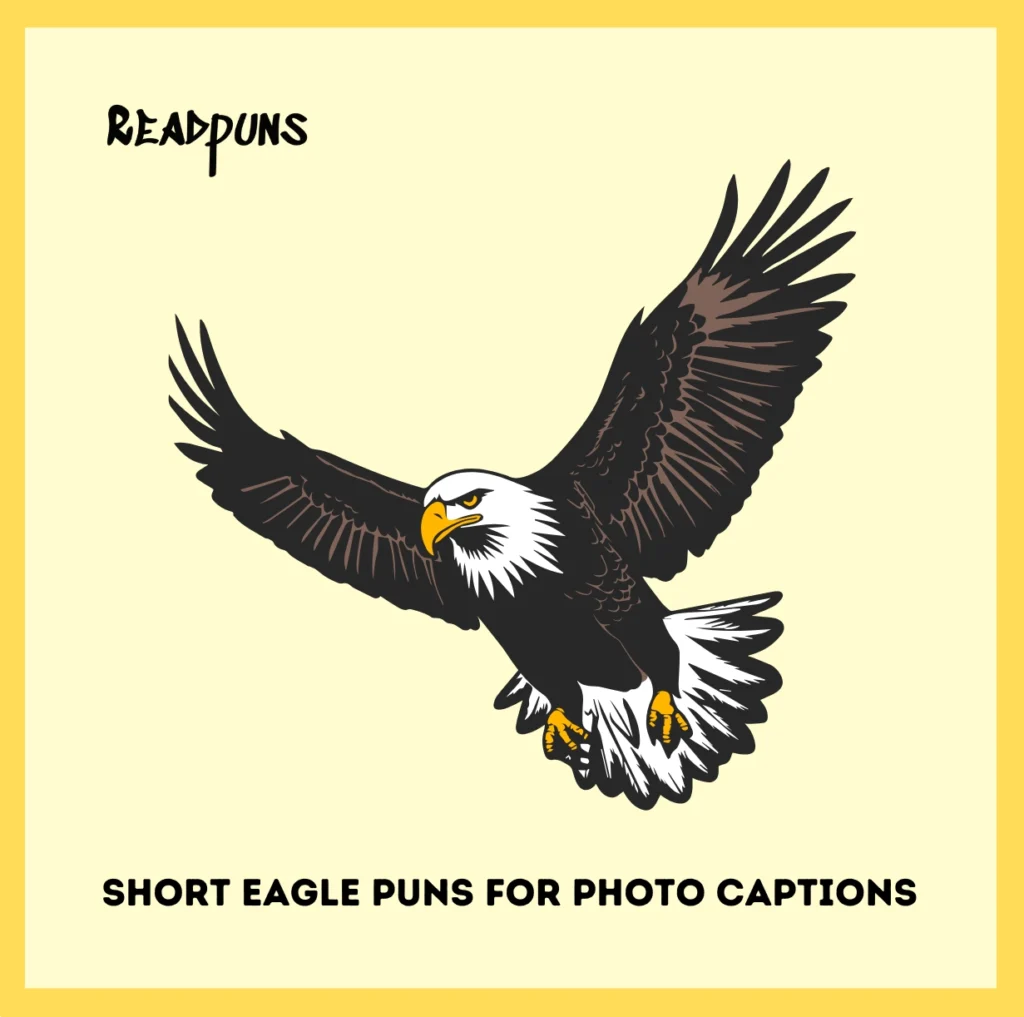 Short Eagle Puns for Photo Captions