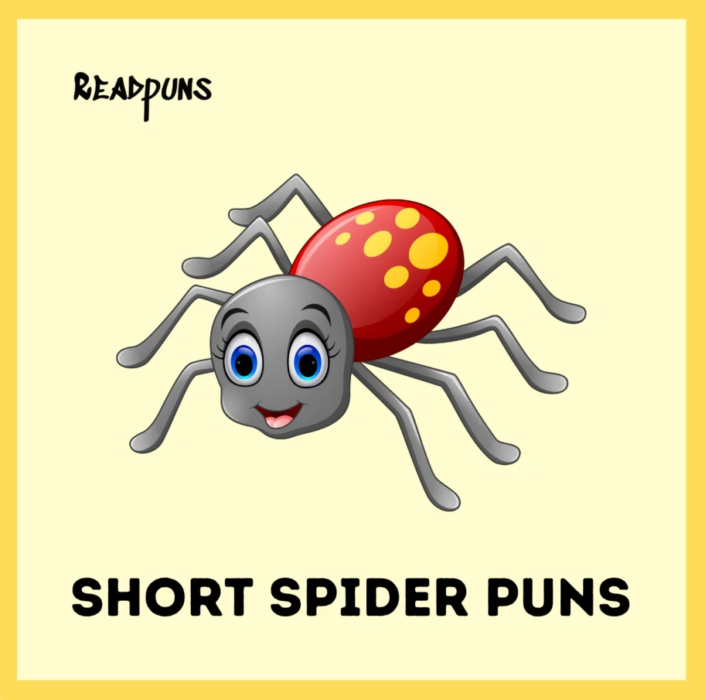 Short Spider Puns