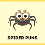 Spider Puns