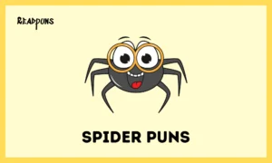 Spider Puns