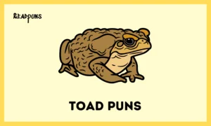 Toad Puns