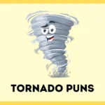 Tornado Puns