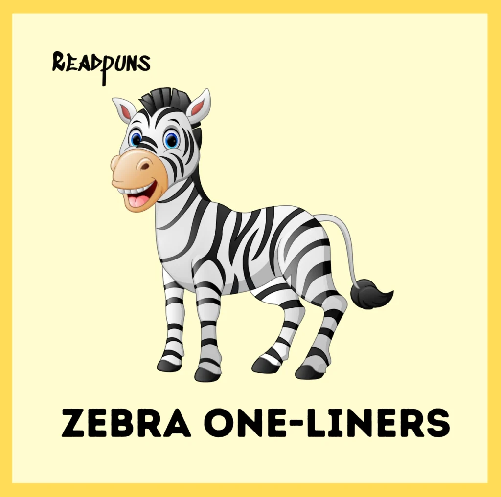 Zebra One-Liners