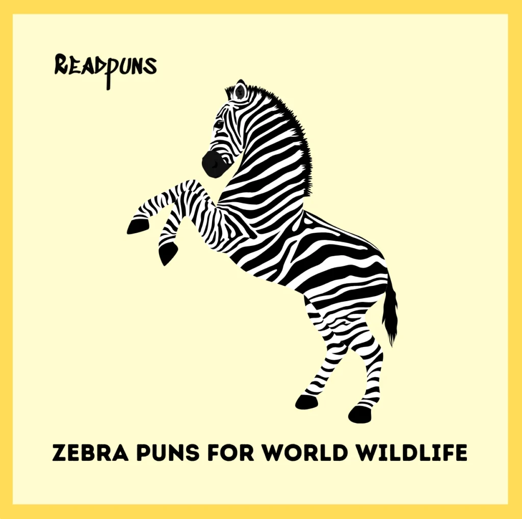 Zebra Puns for World Wildlife