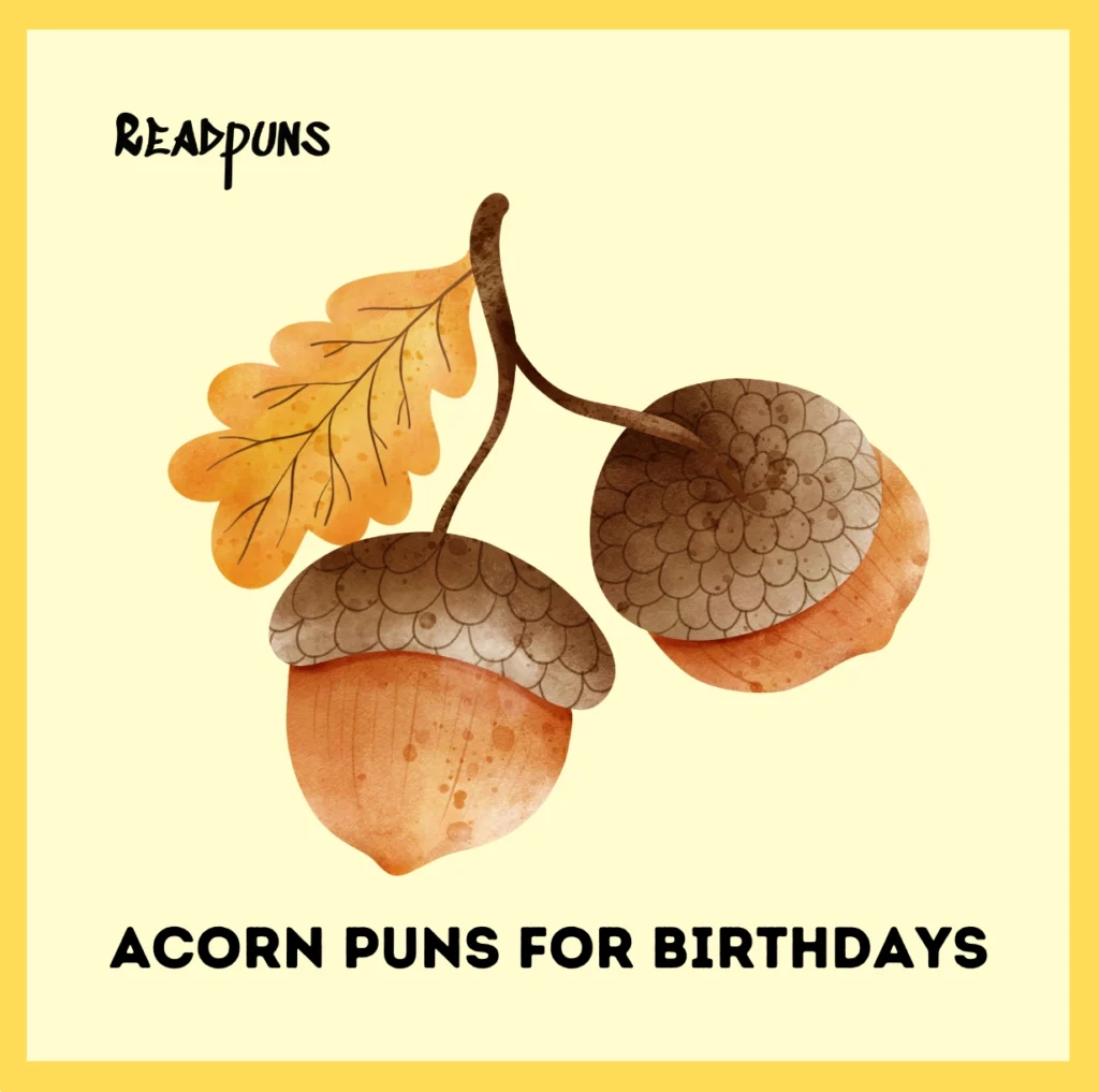 Acorn Puns for Birthdays