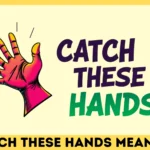 Catch These Hands Meaning
