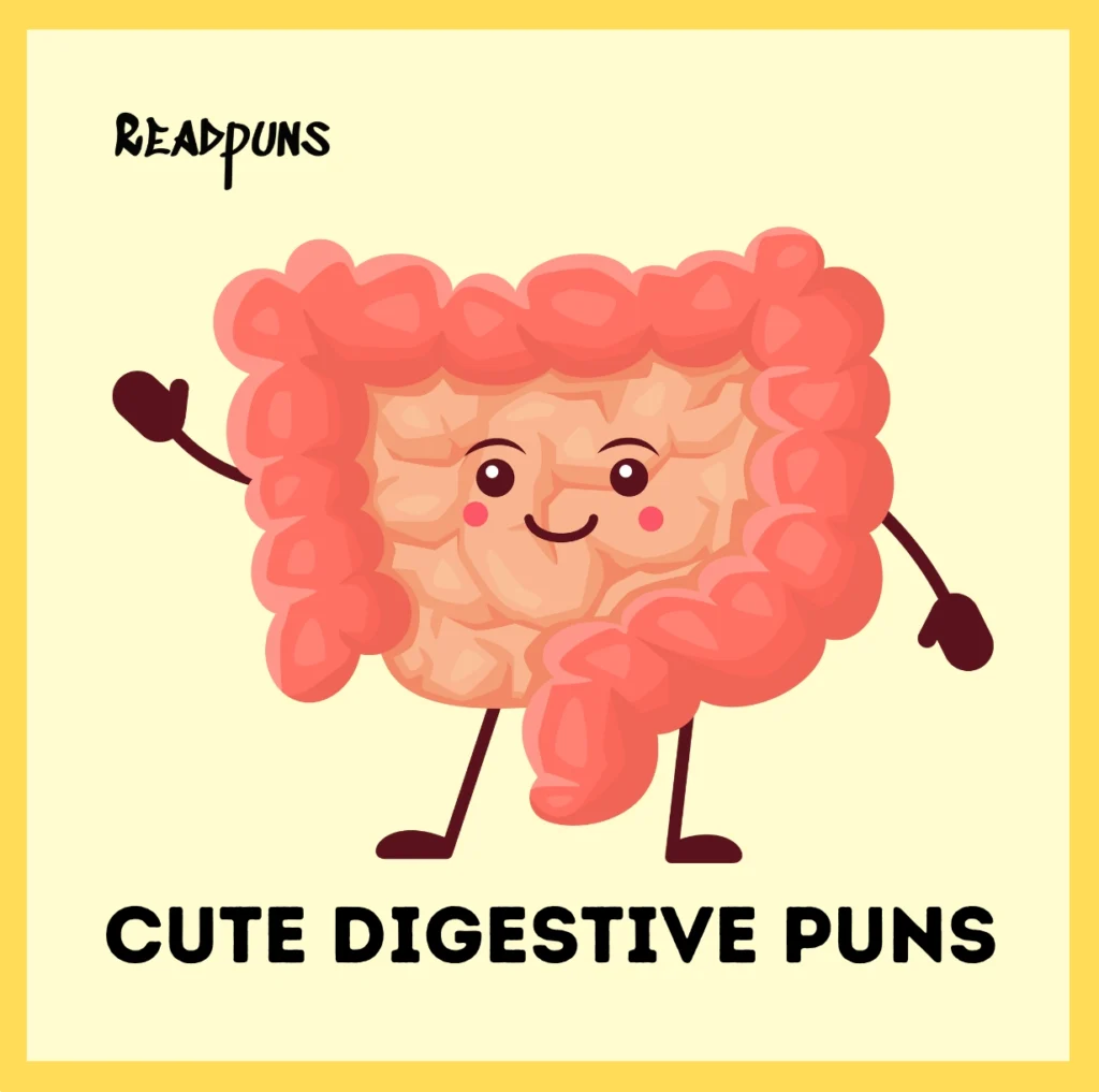 Cute Digestive Puns