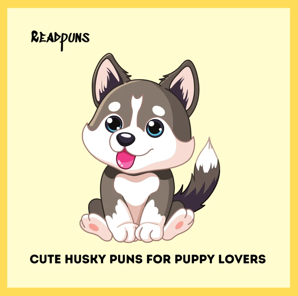 Cute Husky Puns for Puppy Lovers