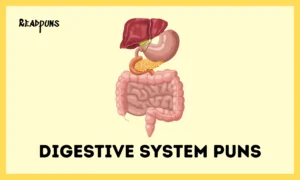 Digestive System Puns