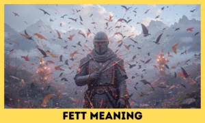 Fett Meaning