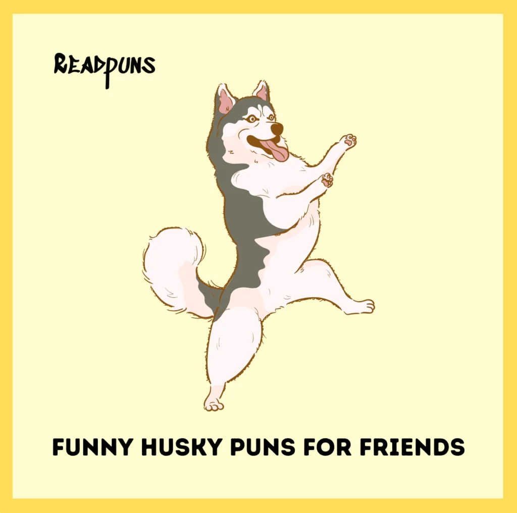 Funny Husky Puns for Friends