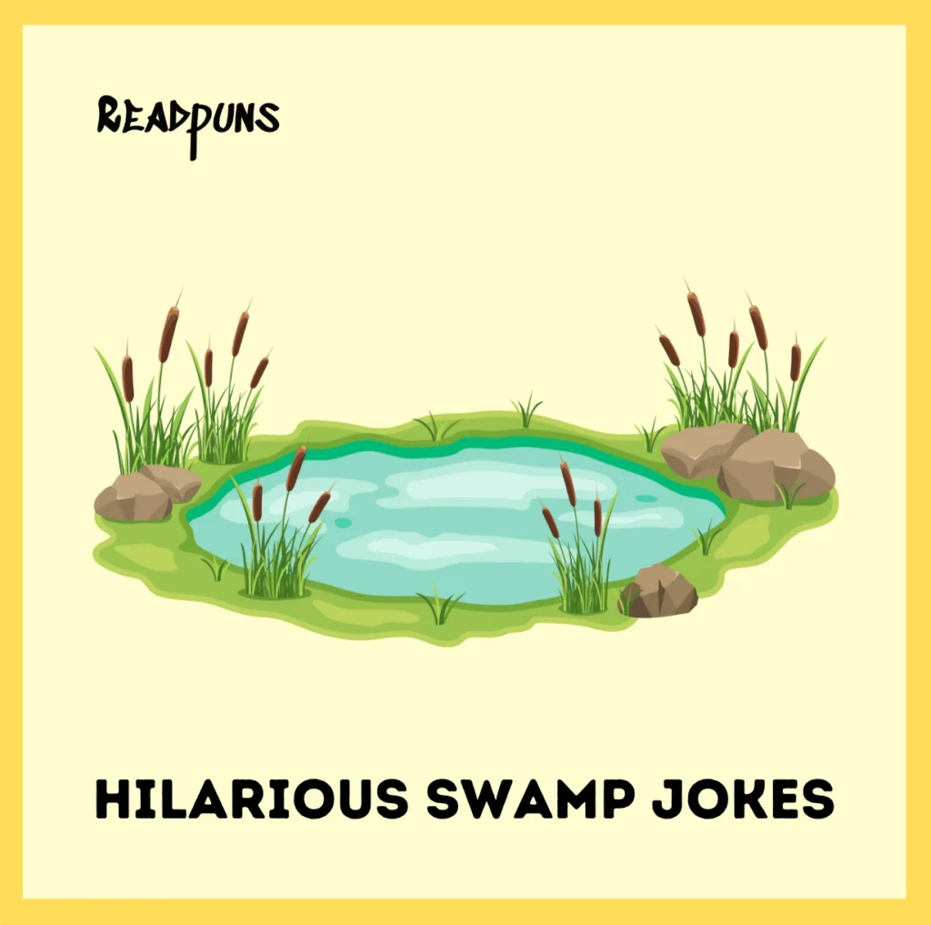 Hilarious Swamp Jokes