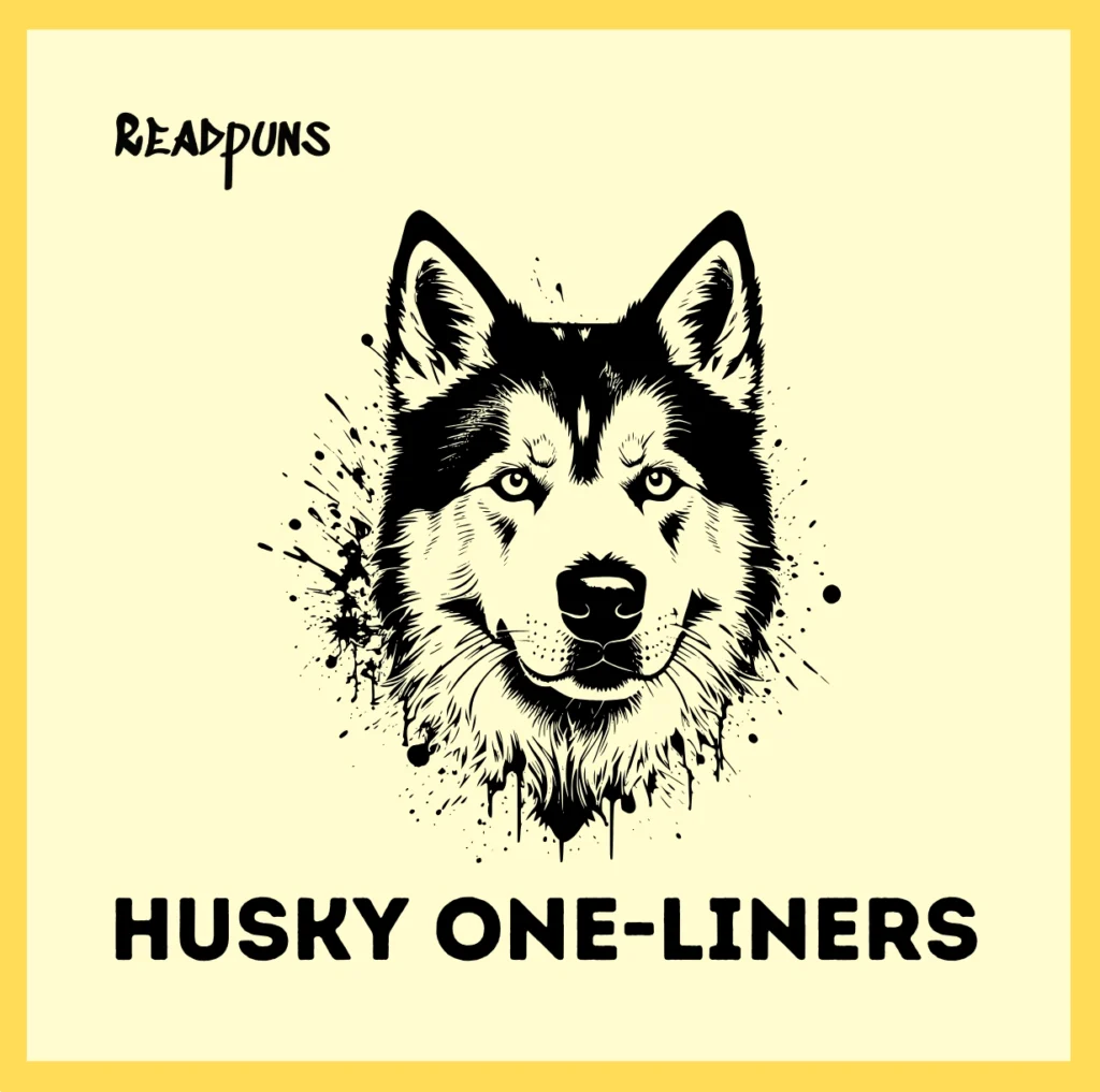 Husky One-Liners