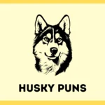 Husky Puns