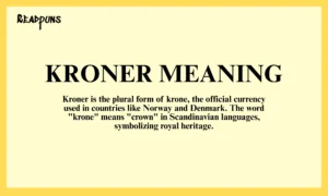 kroner meaning
