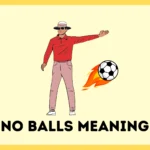 No Balls Meaning
