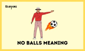 No Balls Meaning