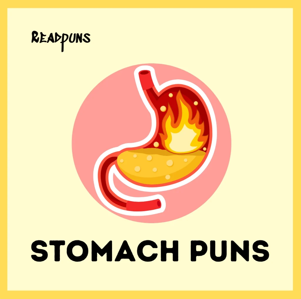Stomach Puns