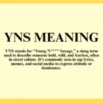 YNS Meaning