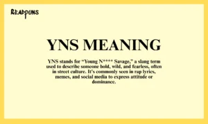 YNS Meaning