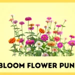 Bloom Flower Puns